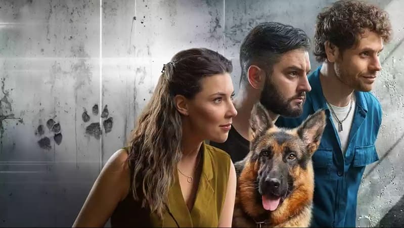 Постер серіалу "Пес Альф"